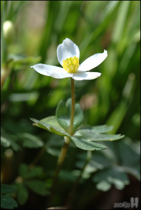 DSCF6133.jpg
