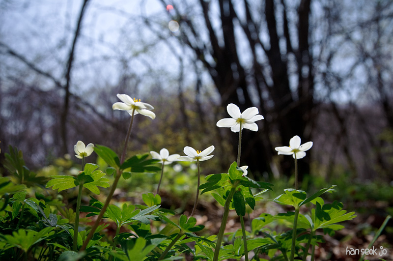 DSC_1104.jpg