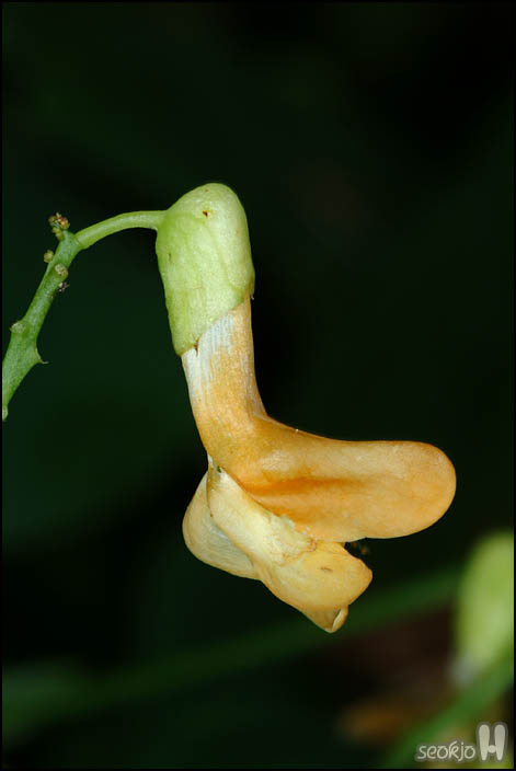 DSCF1716.jpg
