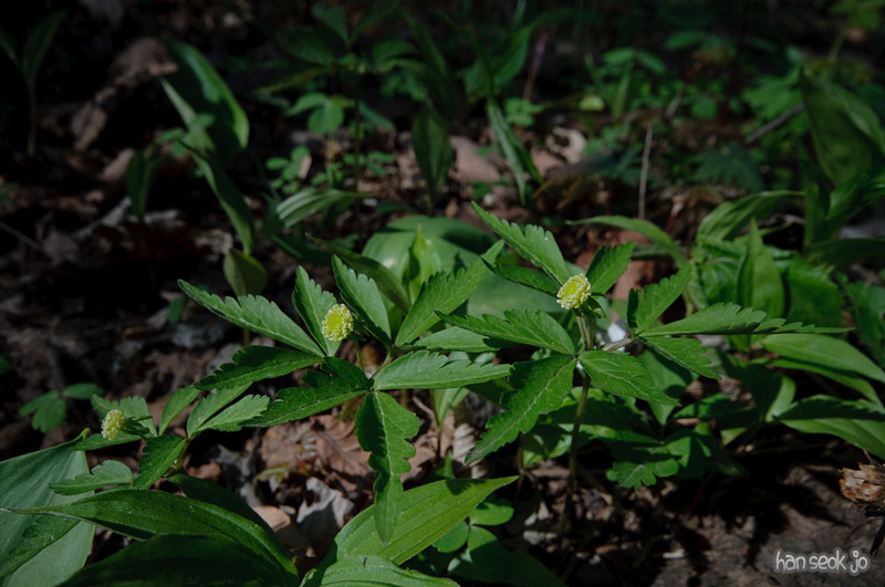 DSC_6266.jpg