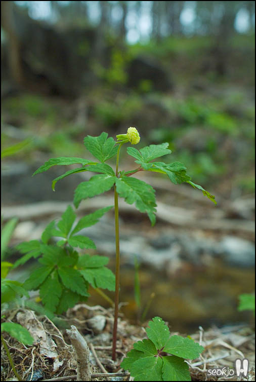 DSCF6381.jpg