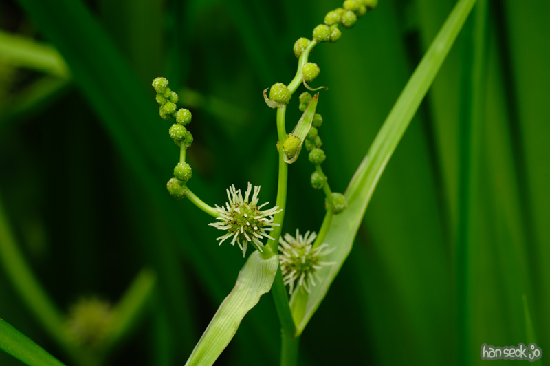 HSJ_0507.jpg