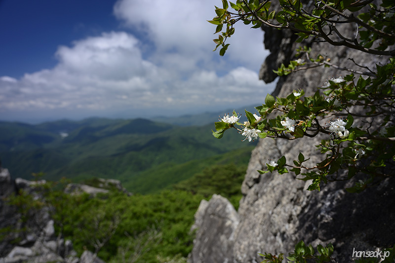 HAN_0504.jpg