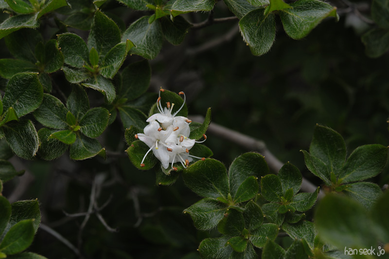 HSJ_3990.jpg