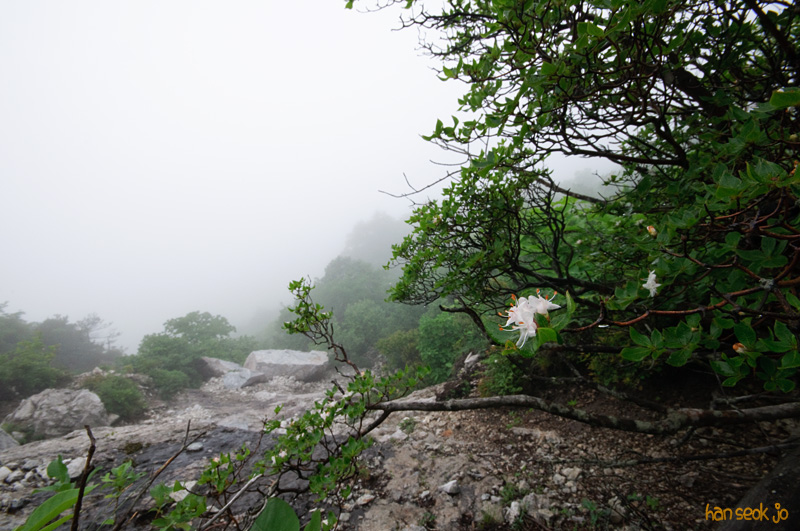 DSC_7174.jpg