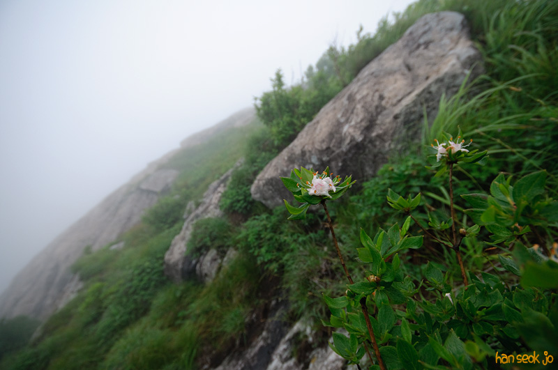 DSC_7197.jpg