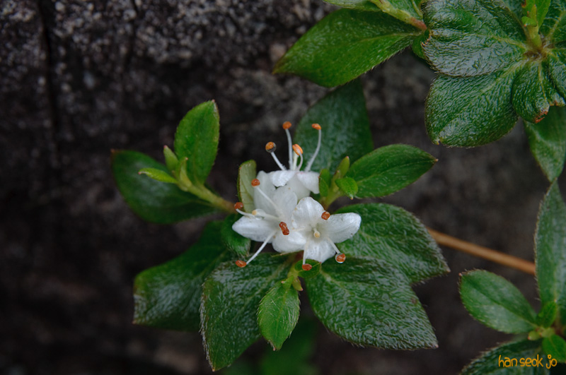 DSC_7167.jpg