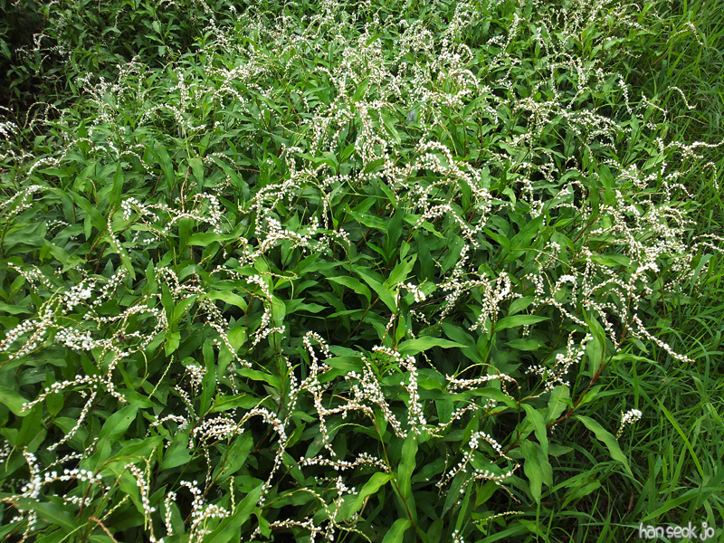 20120915.jpg