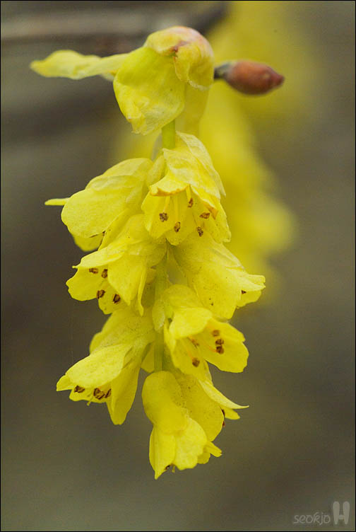 DSCF2388.jpg