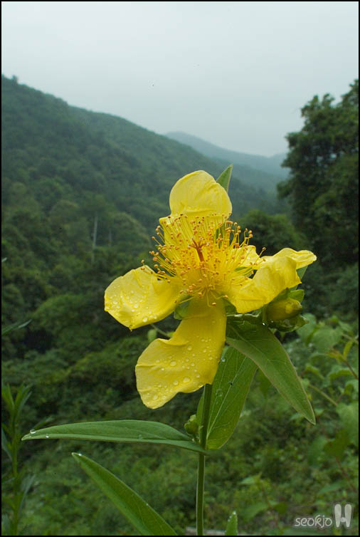 DSCF7316.jpg