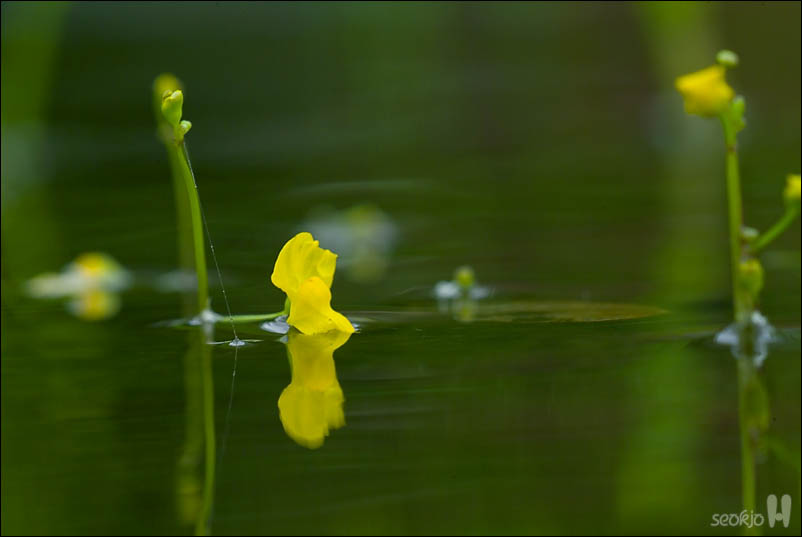 DSCF4753.jpg