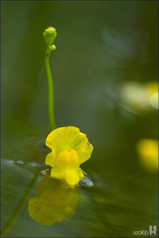 DSCF4757.jpg