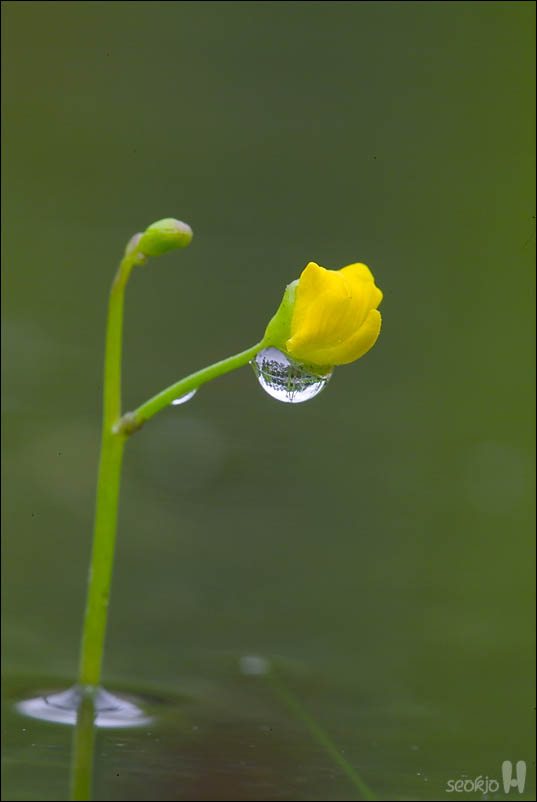 DSCF4759.jpg