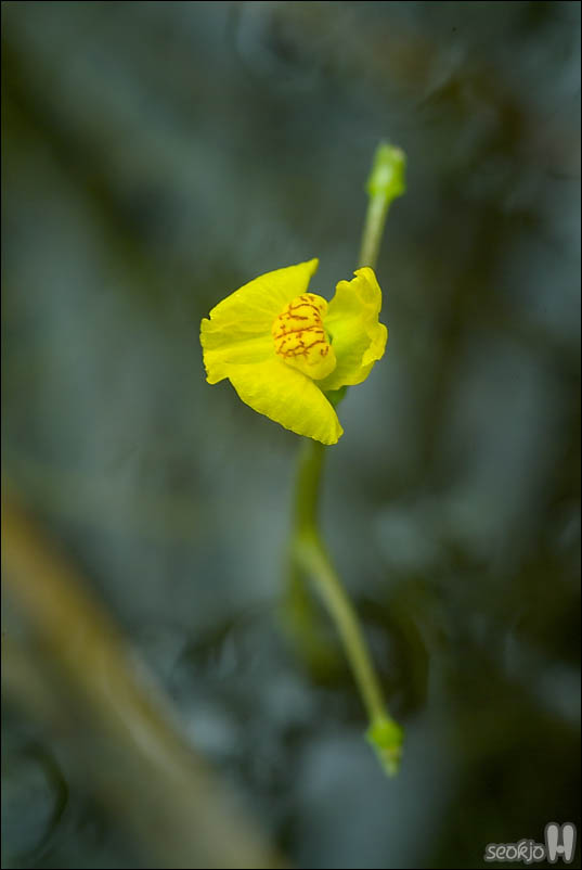 DSCF5226.jpg