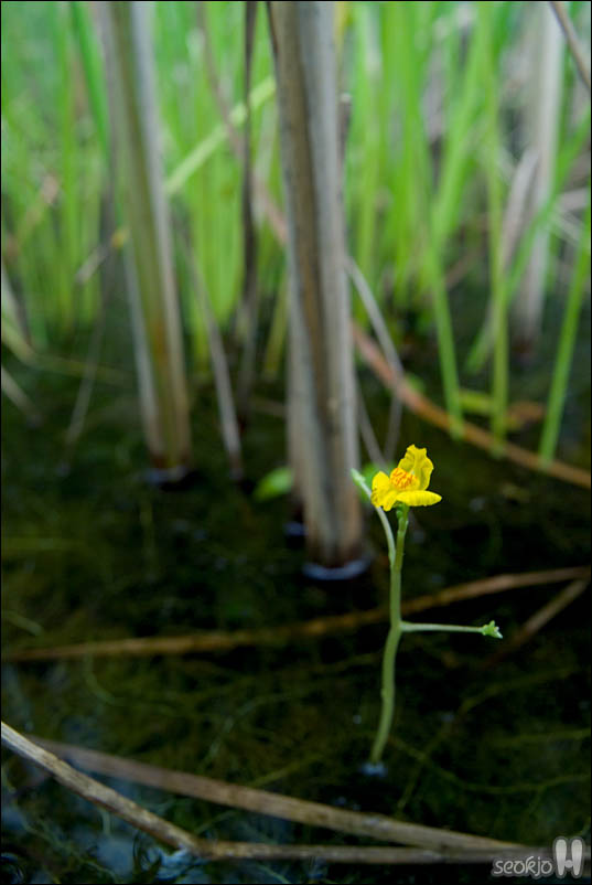 DSCF5237.jpg
