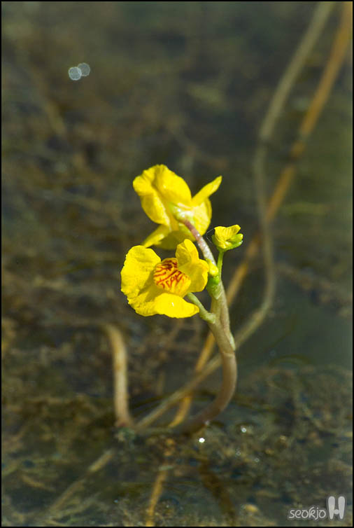 DSCF8160.jpg
