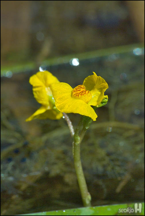 DSCF8173.jpg