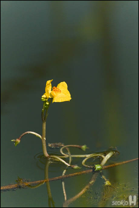 DSCF8163.jpg
