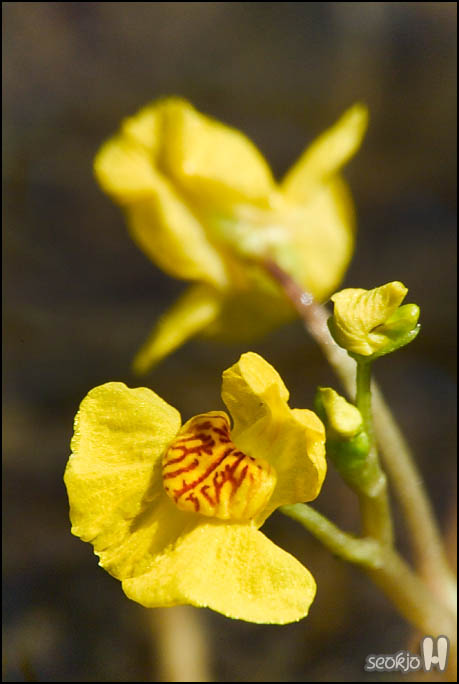 DSCF8165.jpg