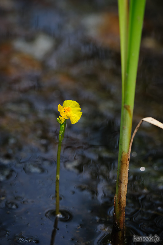 HSJ_0503.jpg