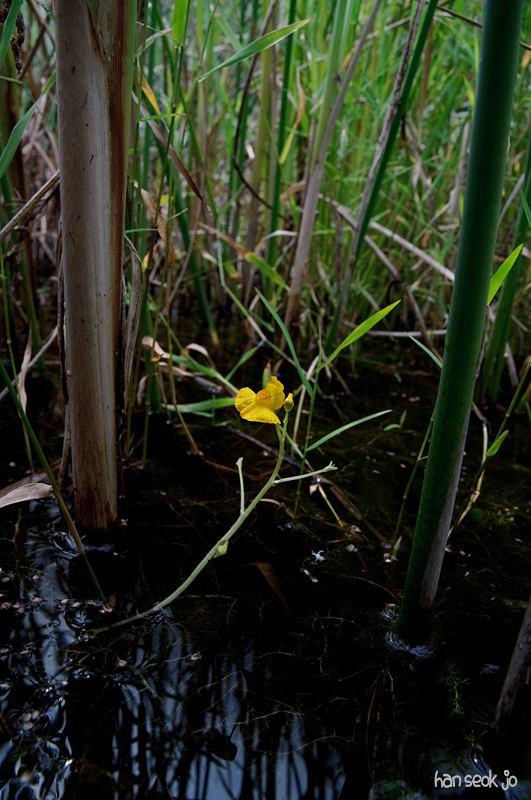 DSC_3497.jpg