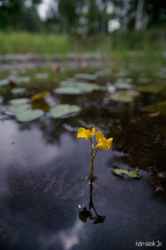 DSC_3524.jpg