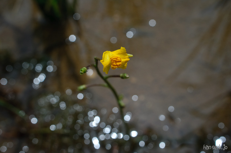DSC_7664.jpg