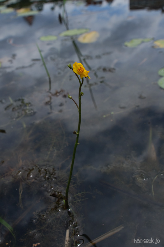 DSC_7668.jpg