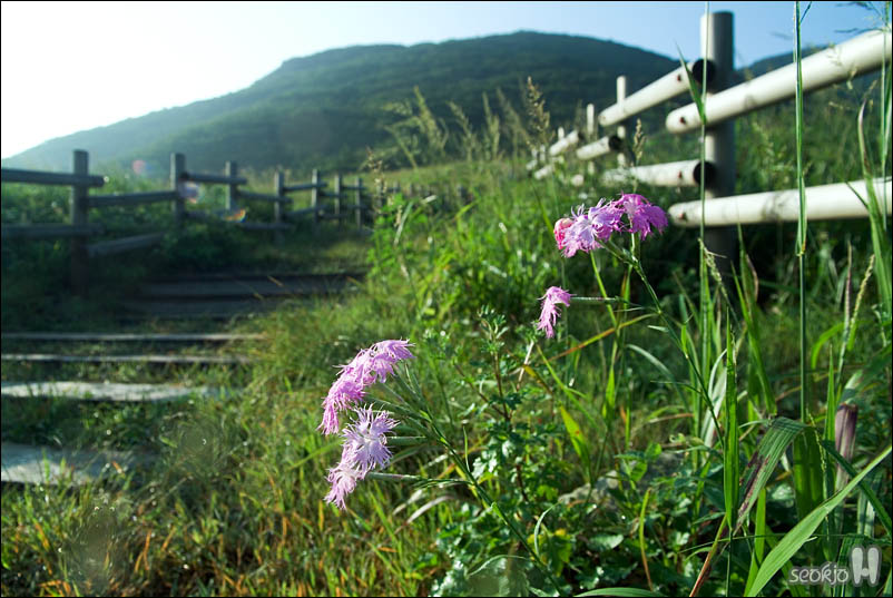 DSCF4972.jpg