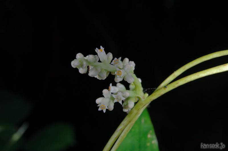 HSJ_0681.jpg