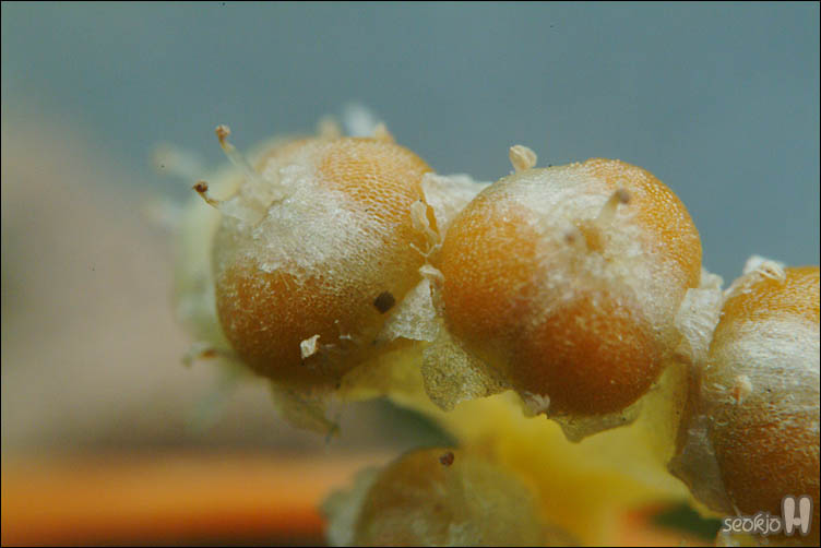 DSCF0624.jpg