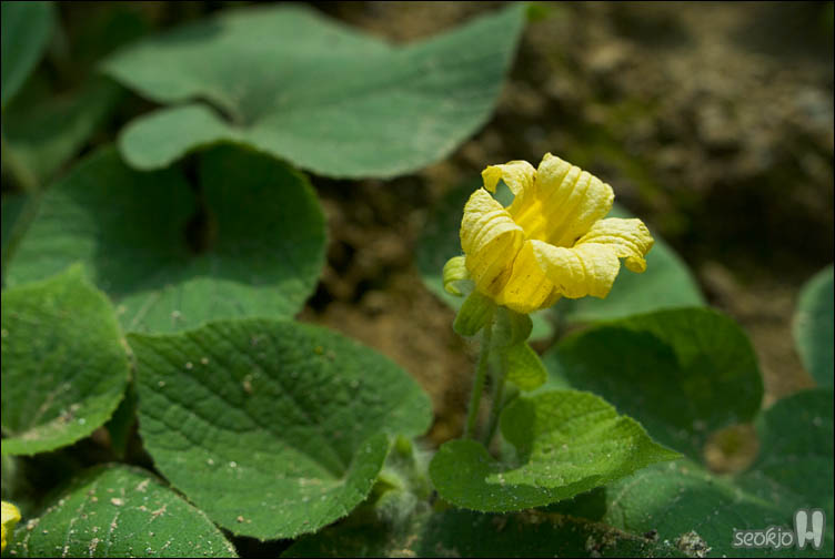 DSCF9711.jpg