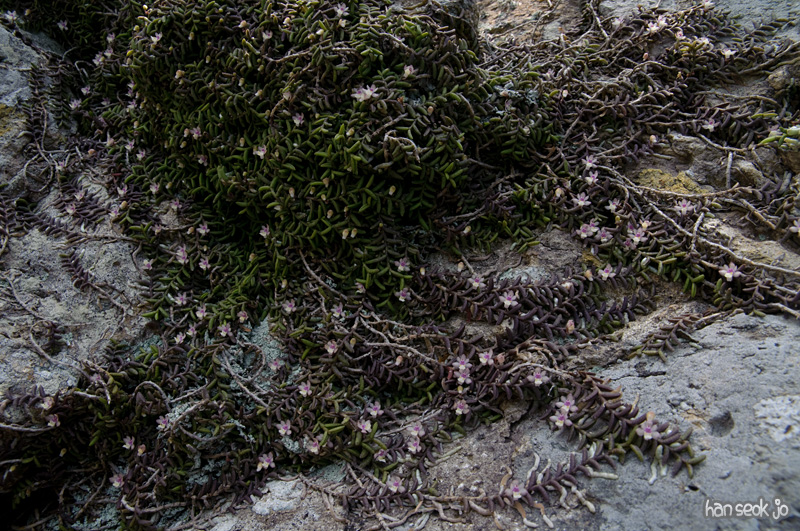 DSC_3195.jpg