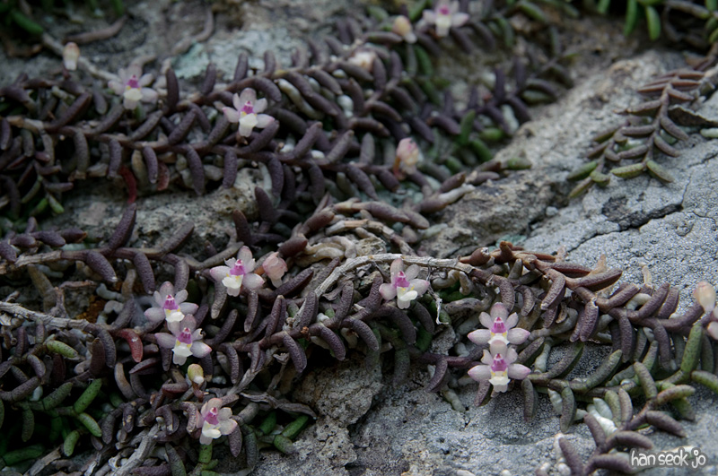 DSC_3212.jpg