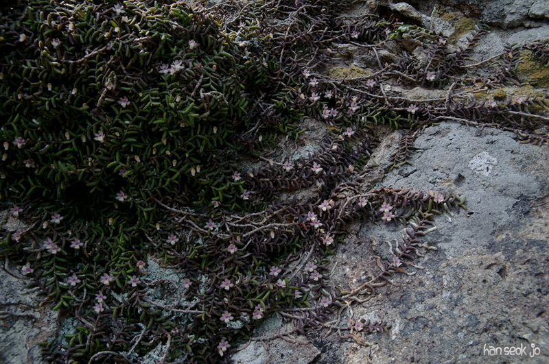 DSC_3214.jpg