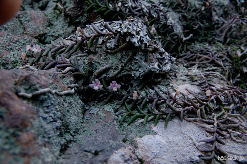 DSC_3283.jpg