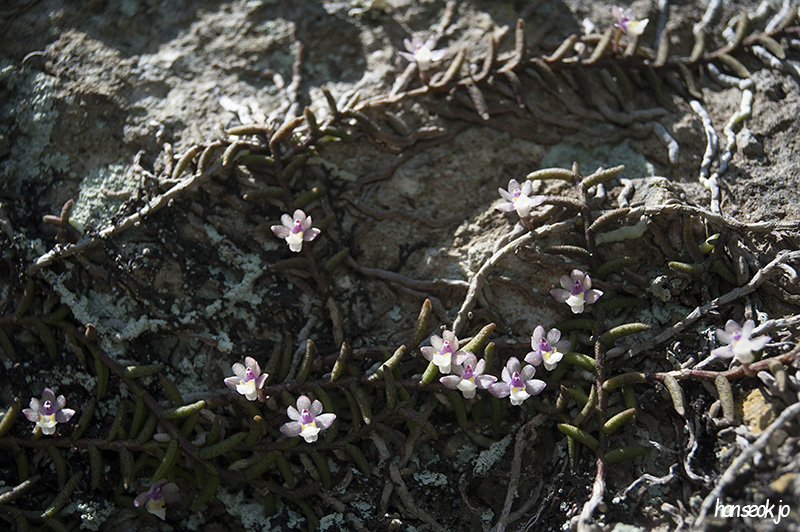 HSJ_6190.jpg