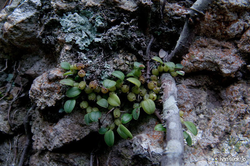 DSC_3077.jpg