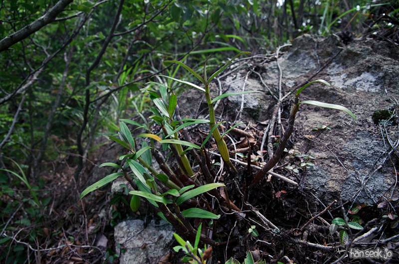 DSC_3106.jpg