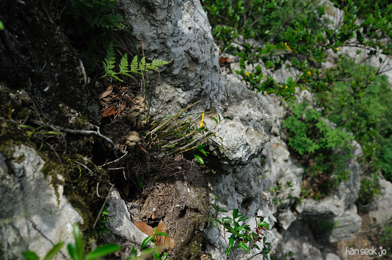 HSJ_3499.jpg