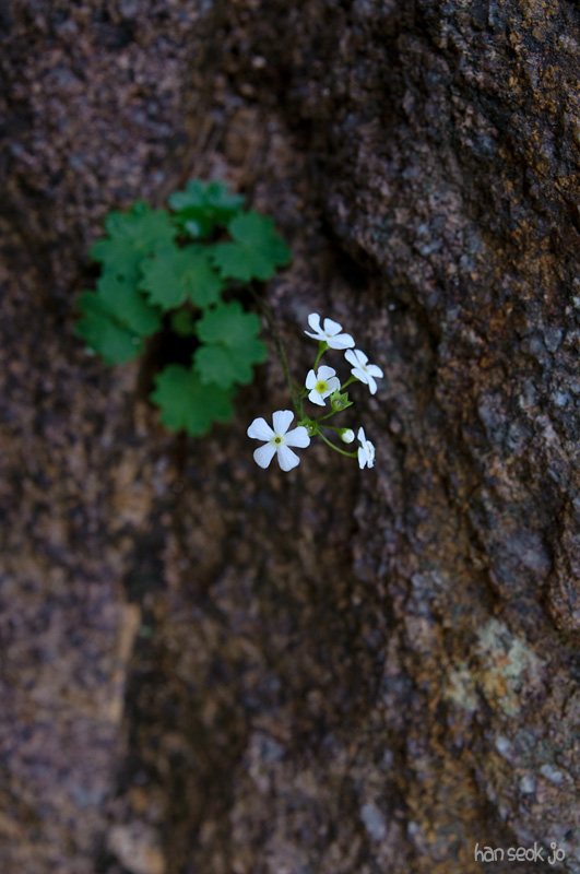 DSC_2316.jpg