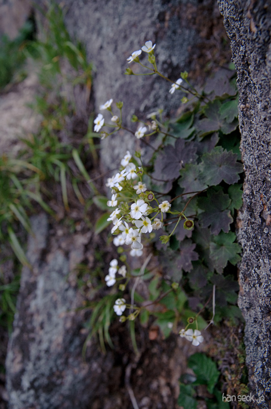 DSC_2292.jpg
