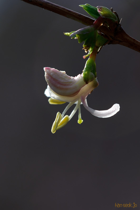 DSC_9834.jpg