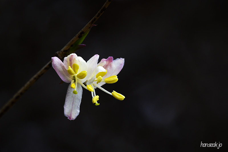 DSC_4777.jpg