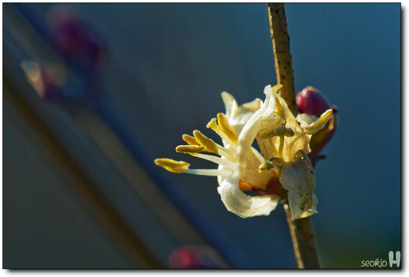 DSCF6896.jpg