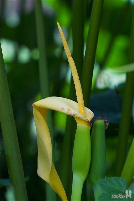 DSCF5597.jpg