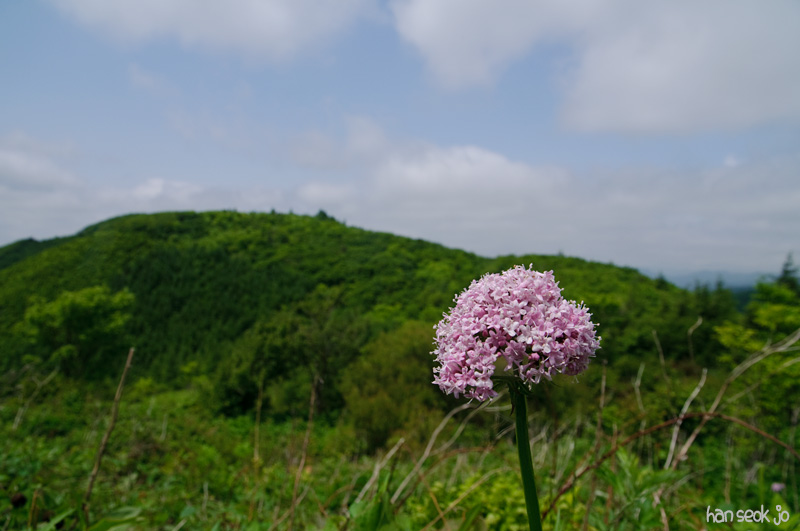 DSC_1975.jpg