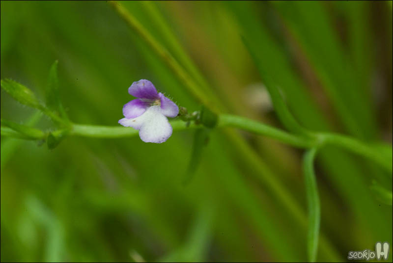 DSCF5219.jpg
