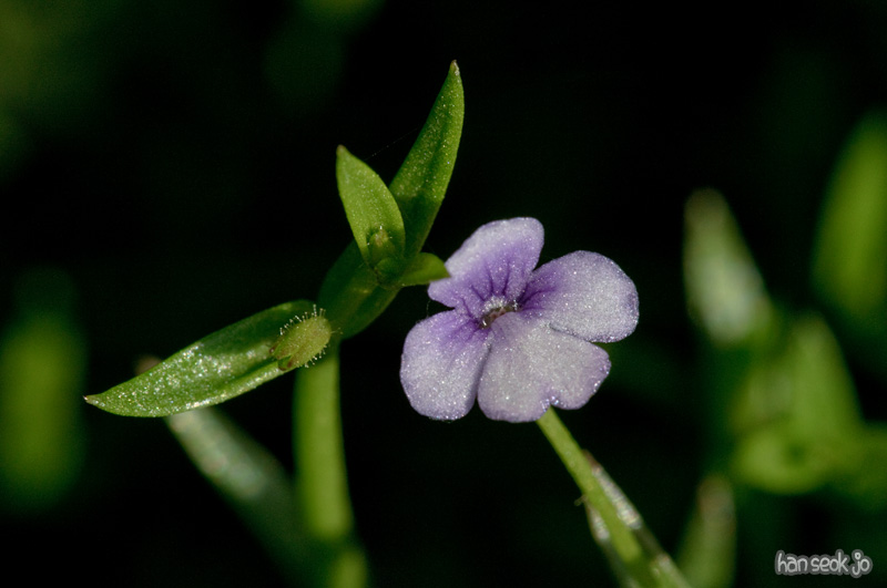 DSC_3819.jpg