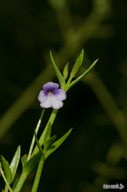 DSC_3835.jpg